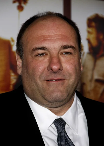 Attore James Gandolfini — Foto Stock