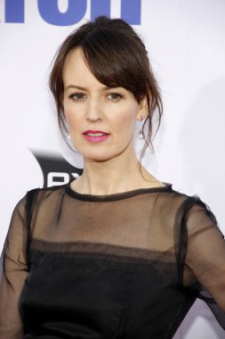 Aktris Rosemarie Dewitt