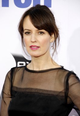 Aktris Rosemarie Dewitt
