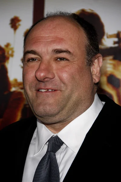 Skådespelaren James Gandolfini — Stockfoto