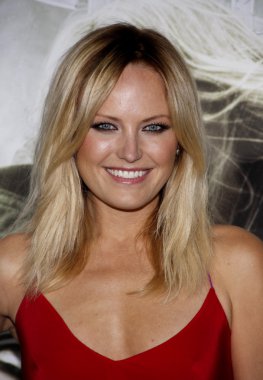 oyuncu ve model Malin Akerman