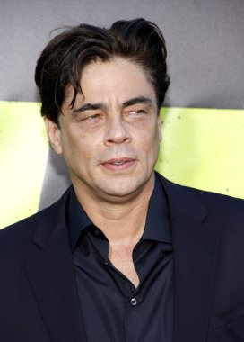 aktör benicio del toro