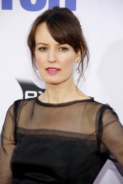 Aktris Rosemarie Dewitt