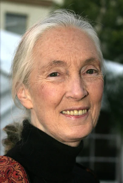 Primatoloog Dr. Jane Goodall — Stockfoto