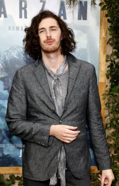 Singer and musician Hozier 