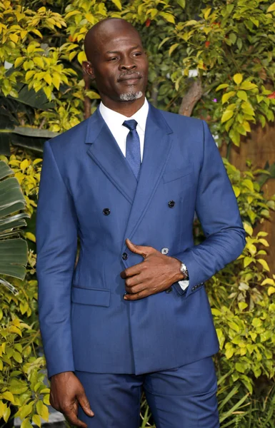 Actor Djimon Hounsou — Foto de Stock