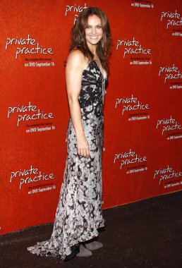 aktris amy brenneman