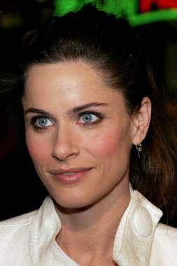Oyuncu Amanda Peet