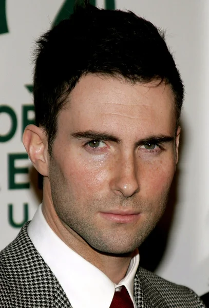 Singer Adam Levine — Stock Photo, Image