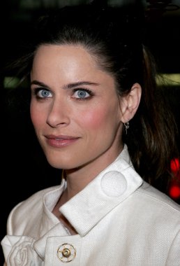 Oyuncu Amanda Peet