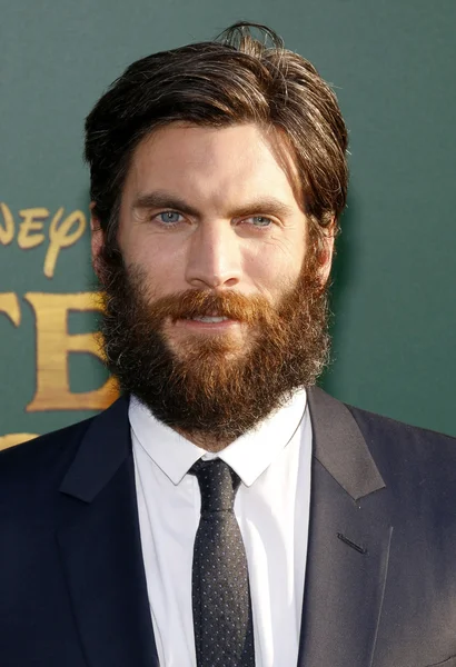 El actor Wes Bentley — Foto de Stock