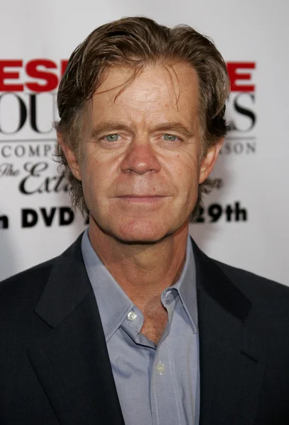 Acteur William Hall Macy — Stockfoto