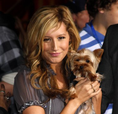 oyuncu Ashley Tisdale