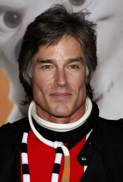 Acteur Ronn Moss — Photo