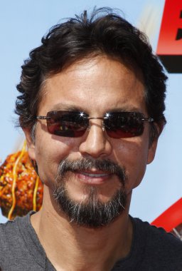 aktör Benjamin Bratt