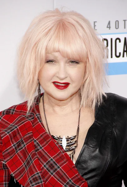 Singer Cyndi Lauper — Stock Photo, Image