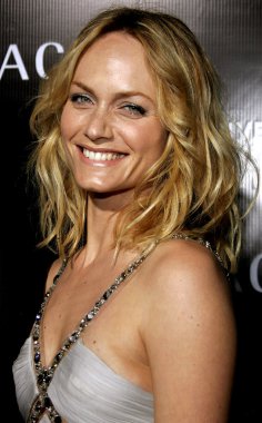 Model Amber Valletta