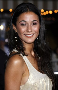 Emmanuelle Chriqui at Los Angeles
