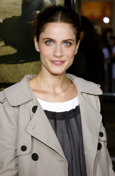 Actress Amanda Peet — Stock Photo, Image