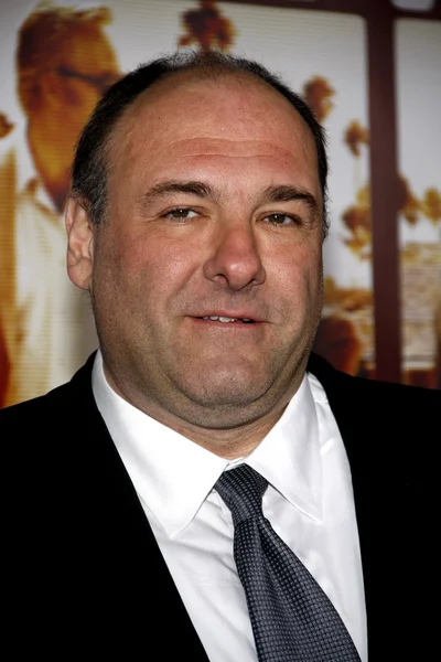 James Gandolfini in Los Angeles — ストック写真