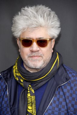 Actor Pedro Almodovar