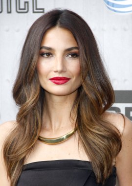 Actress Lily Aldridge