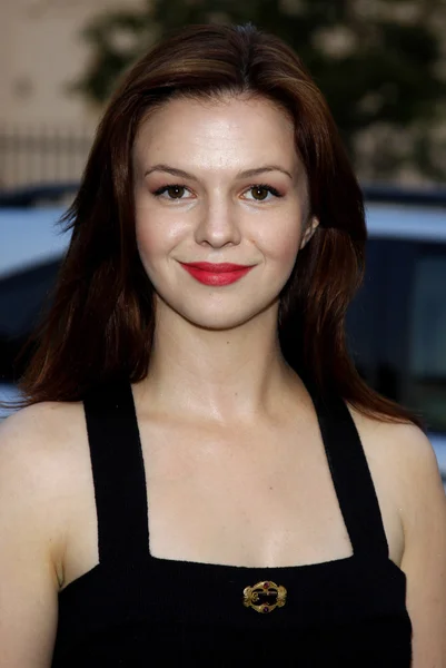 L'actrice Amber Tamblyn — Photo