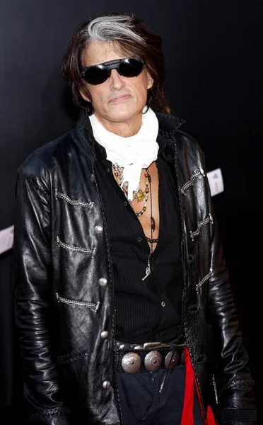 Musician Joe Perry — Stock Photo, Image