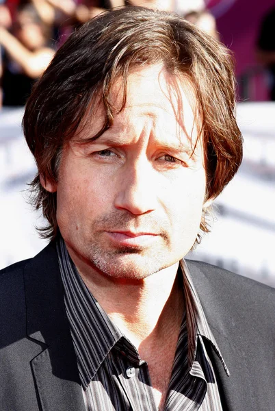 David Duchovny at the Los Angeles — ストック写真