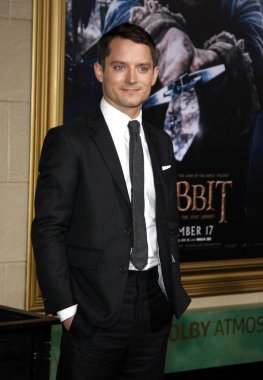 Aktör Elijah Wood