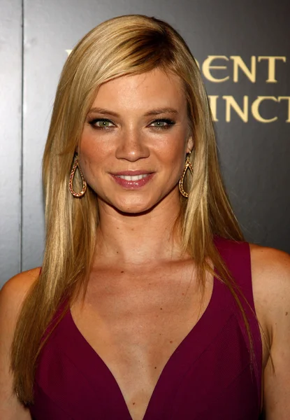 Actriz Amy Smart —  Fotos de Stock