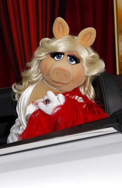 Muppet-Figur vermisst Schweinchen — Stockfoto