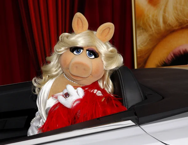 Miss Piggy. — Fotografia de Stock