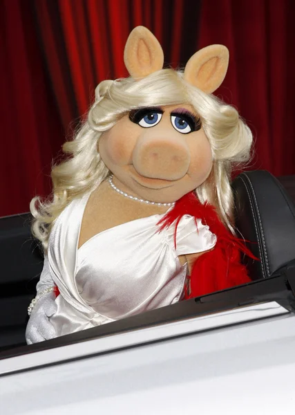 Miss Piggy — Stock Photo, Image