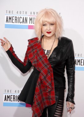 Singer Cyndi Lauper
