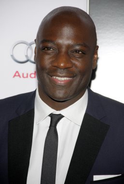 aktör Adewale Akinnuoye-Agbaje