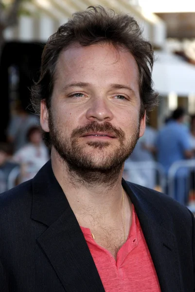 Actor Peter Sarsgaard — Stock Photo, Image