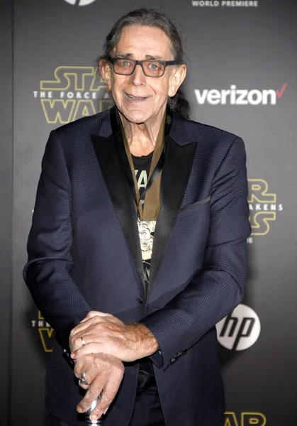 Actor Peter Mayhew — Stockfoto