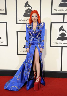 Şarkıcı Lady Gaga