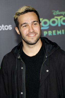 müzisyen Pete Wentz