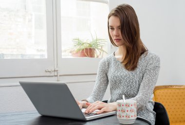 Güzel genç kadın onun laptopunda evde yazıyor