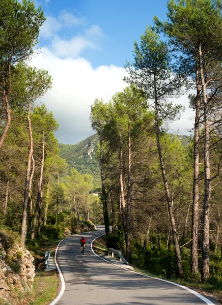 Yol eğrileri ve dağ ile bisikletçi