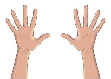 Kadının avuç içi Veiw