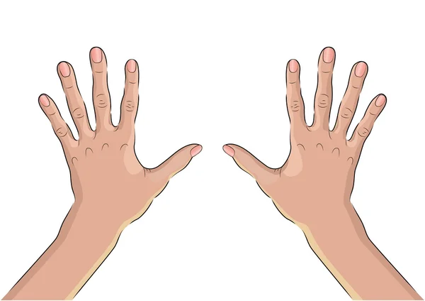 Vrouwelijke Hand Palm van buitenaf — Stockvector