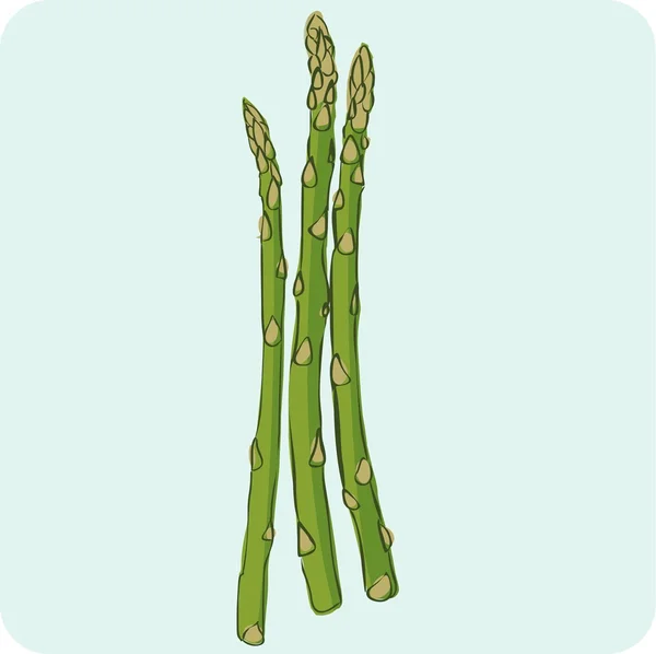 Gurkväxter — Stock vektor