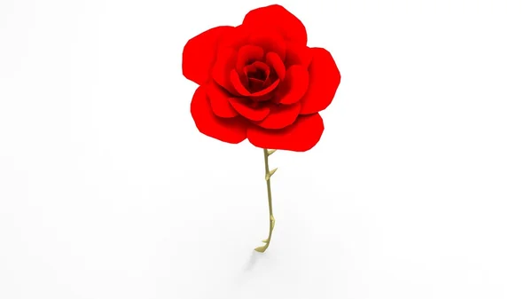 Roses — Stock Photo, Image