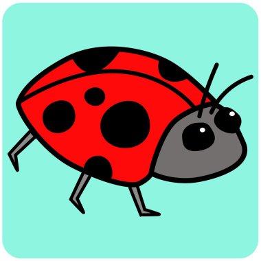 resimde Ladybird hayvan