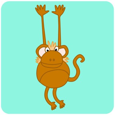 resimde maymun hayvan