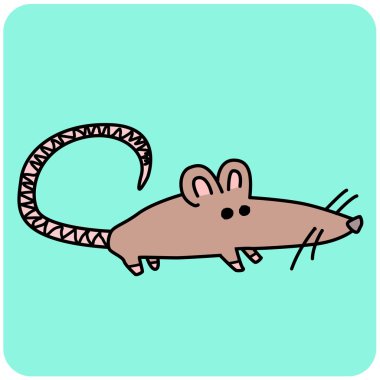 resimde sıçan hayvan