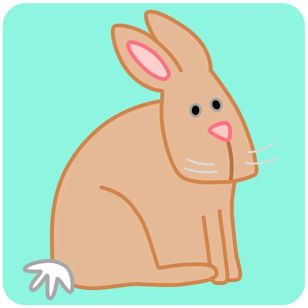 Illustration Rabbit animal — Stock Vector